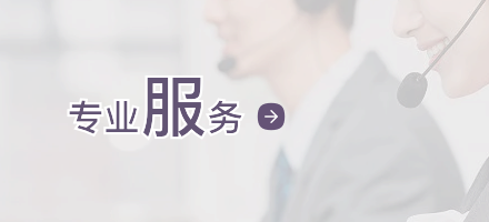 專(zhuān)業(yè)服務(wù)